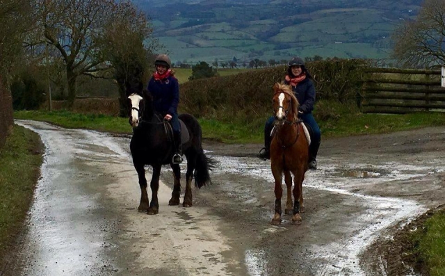Teaching Ozzie some manners Pony Trekking